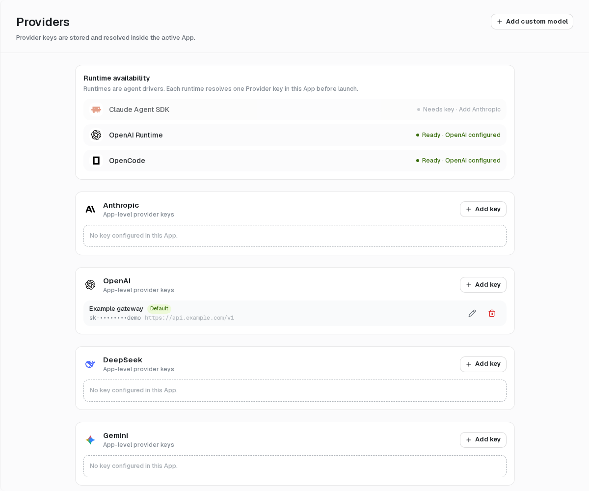 The Providers page shows runtime readiness and App-level credentials.